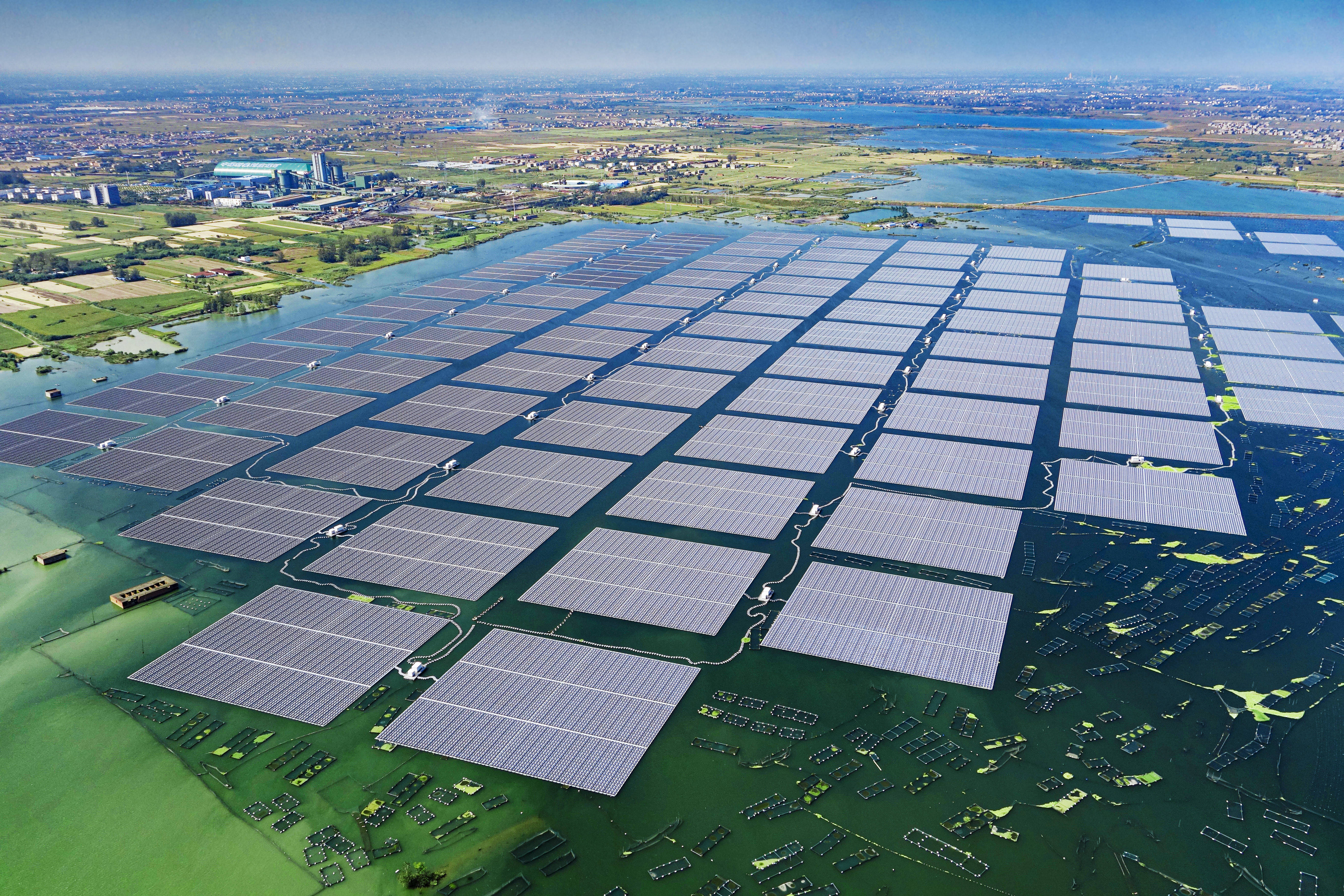 倡导绿色发展，弘扬绿色理念，共创绿色未来。