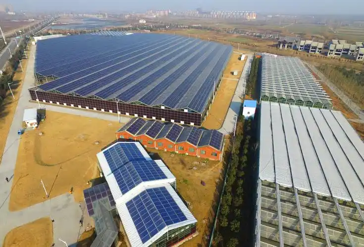 告别“退税依赖” 中国光伏开启技术与全球化新竞速